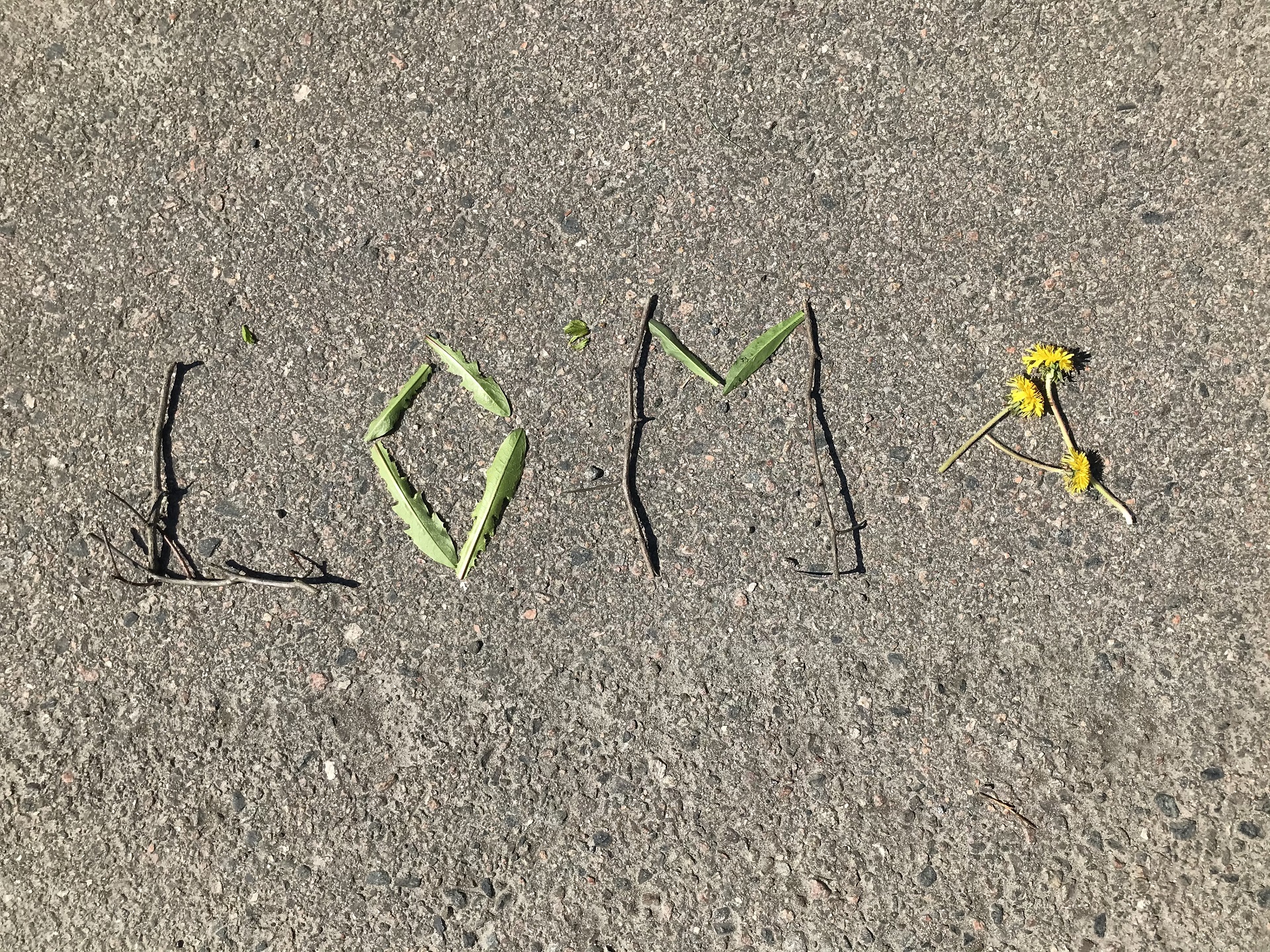 Kepeillä ja heinillä kirjoitettu asfalttiin teksti "Loma".
