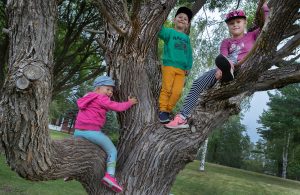 Kaksi tyttöä ja poika kiipeilevät puussa.